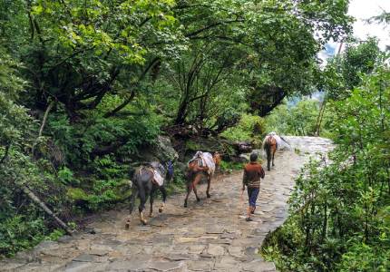 Hemkunt Sahib Yatra from Chandigarh – Spiritual Heights