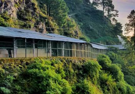 Vaishno Devi Blessings Journey from Chandigarh