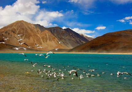 Leh Ladakh Drive – Chandigarh to High Himalayas