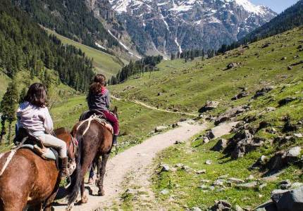 Kashmir Discovery – 7 Days of Bliss from Chandigarh