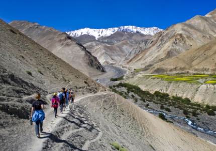 Ladakh Tours
